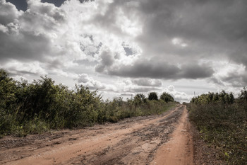 Der Weg / ***
