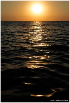 Black Sea / ***