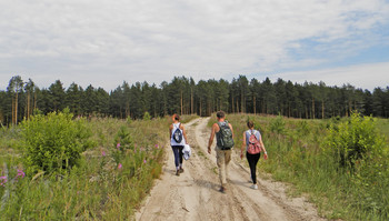 On the way to clouds / ***