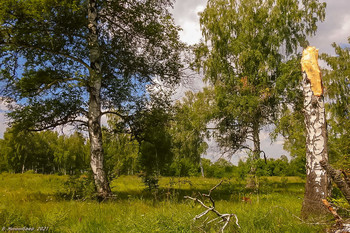 After the rain / ...