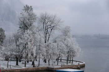 Winter landscape / ...
