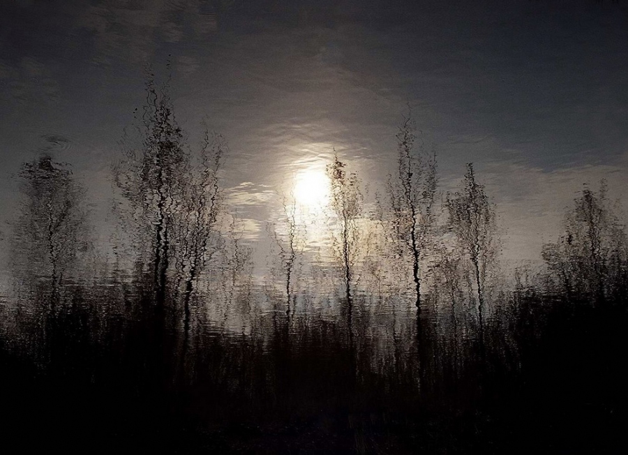 отражение тишины