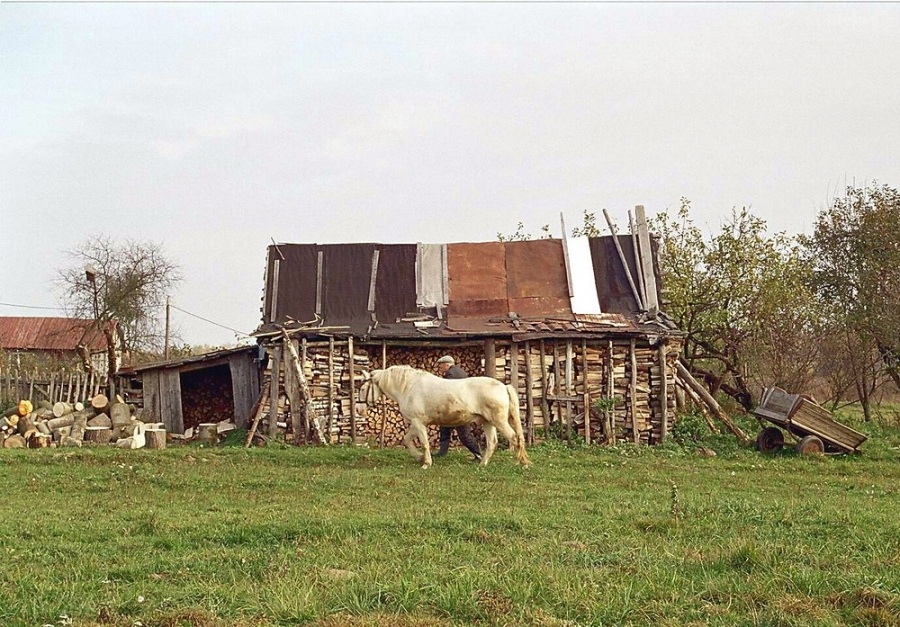 Неспешность - подлинность?