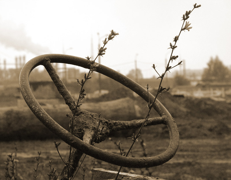 Каждый выбирает свой путь