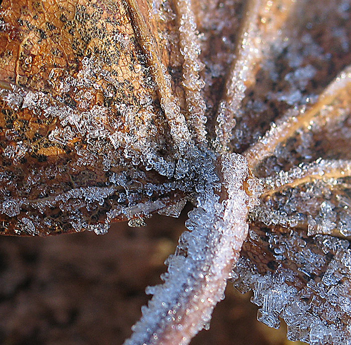 зима близко, мы слышим ее дыханье