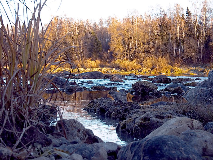 Двина, скоро станет лед