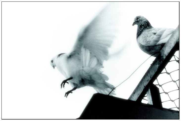 так все же не очень?..