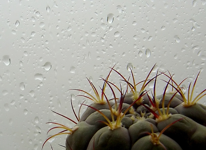 Вось табе й світанак.. Восень..