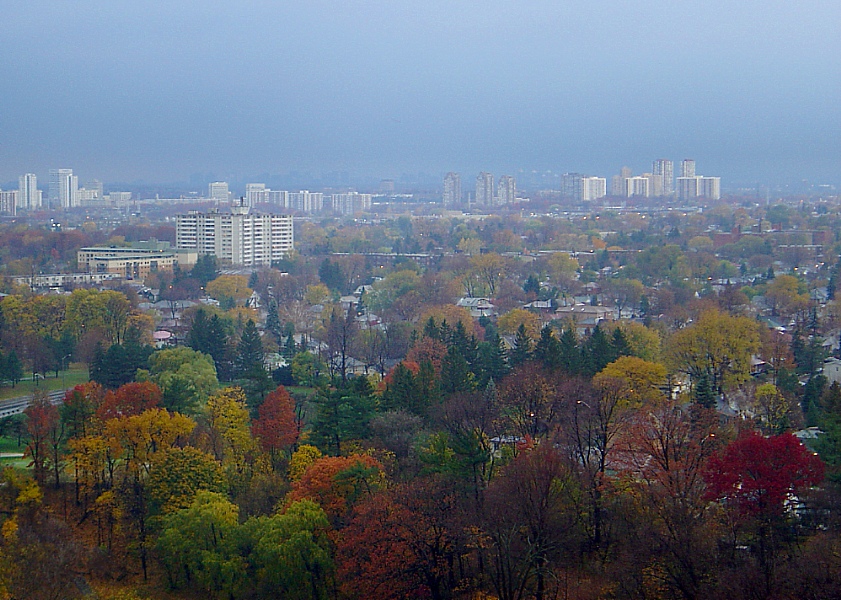 Пасьля ліўня -- чысьціня..