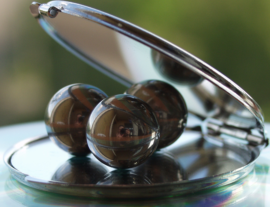 устрица в стиле хай-тек