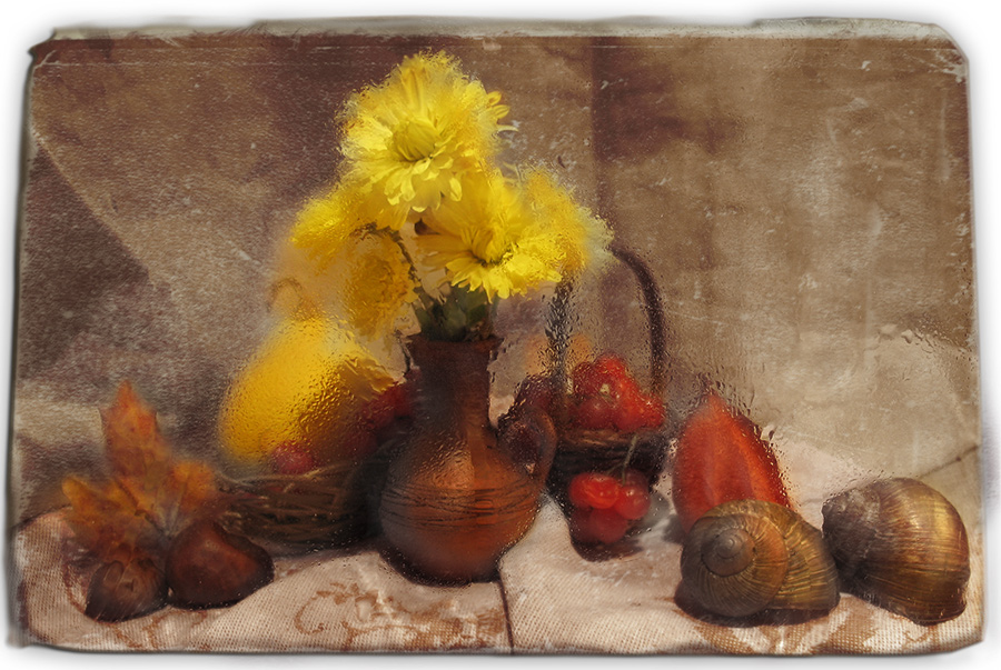 Натюрморт со спящими улитками...