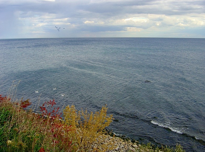 завятрыла..