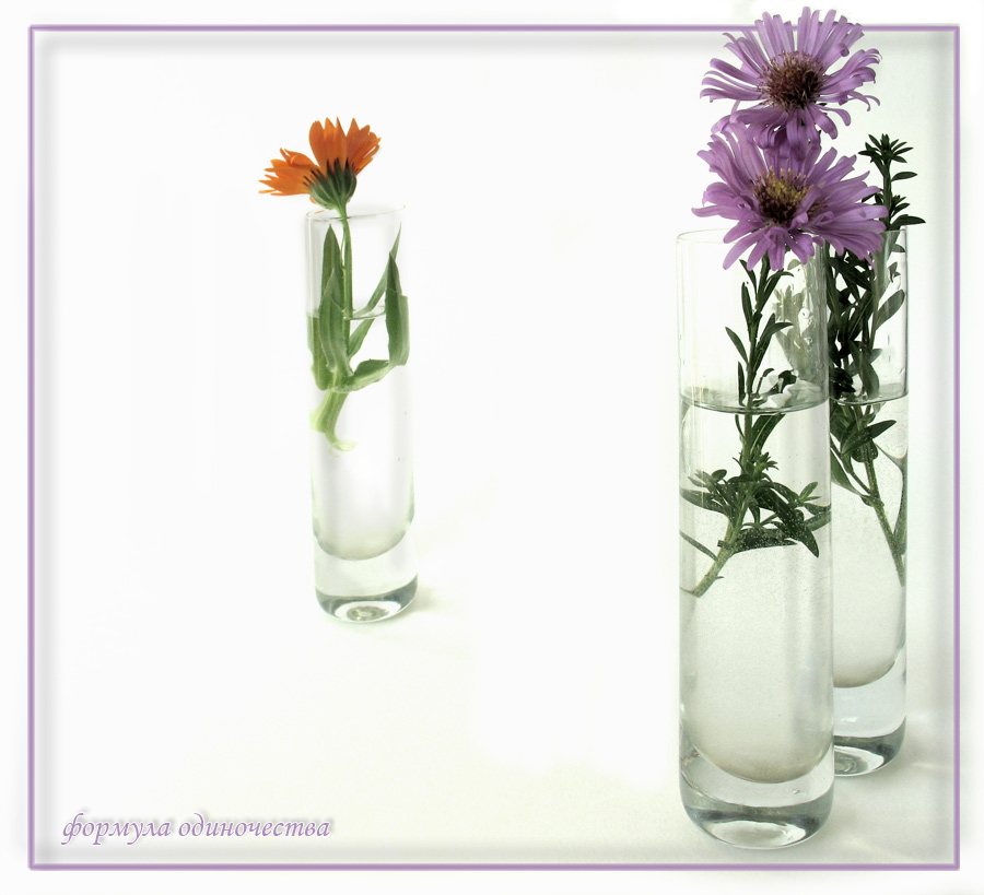 Формула одиночества