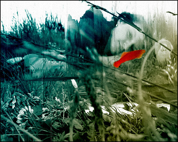 уже никогда