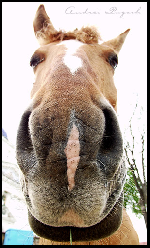 А ты хто такой? :)