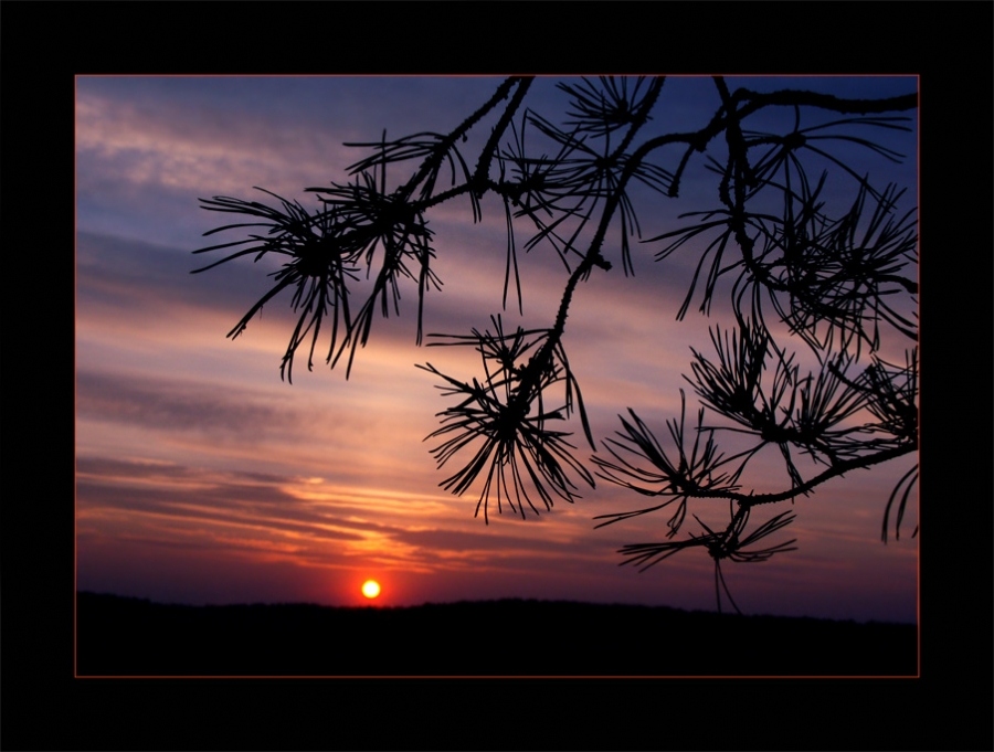 прощание с СОЛНЦЕМ ...