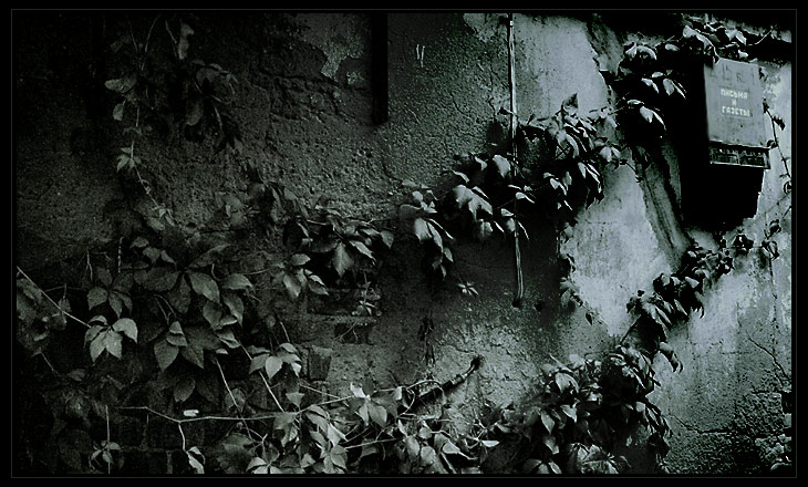 письма и газеты