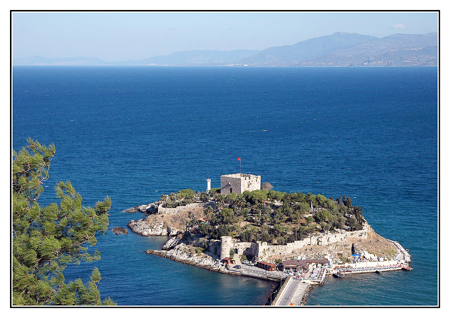 Птичий остров