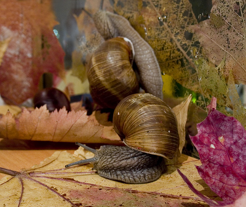 про фактуры