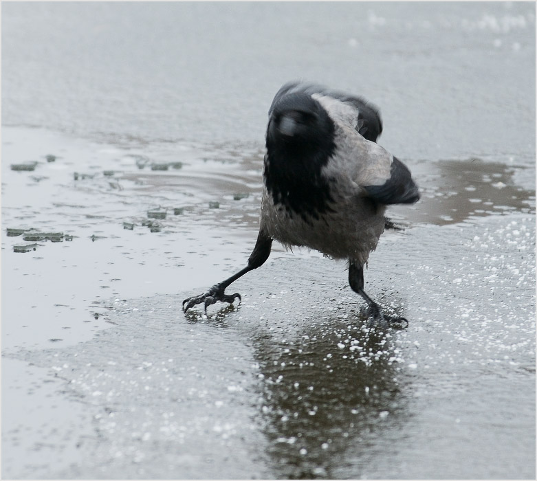 Нет, сегодня я купаться не буду...