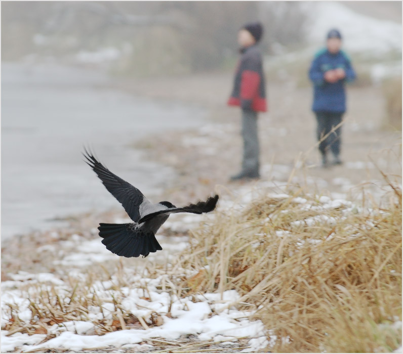 А что они там делают?