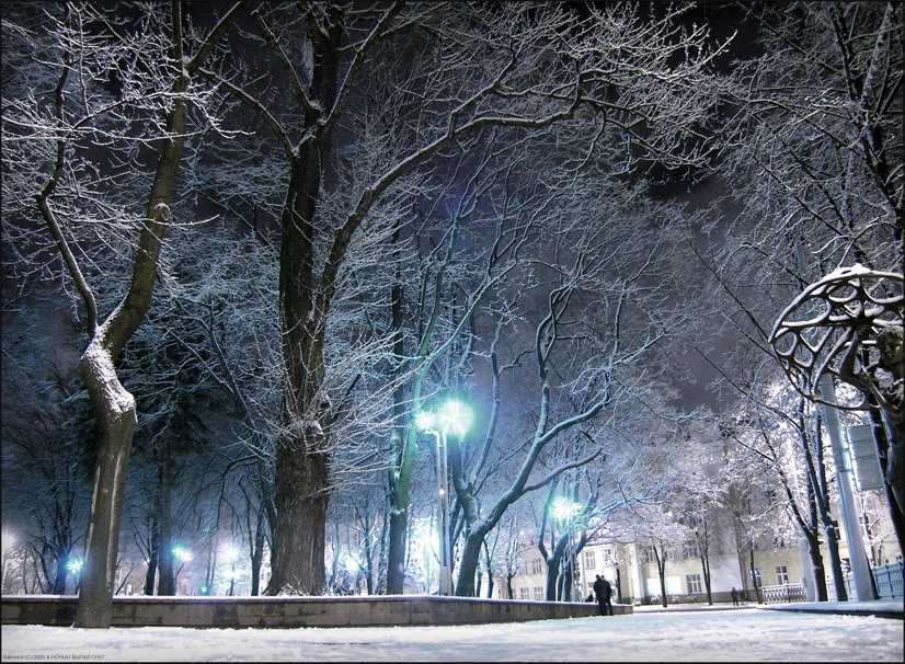 А ночью выпал снег...