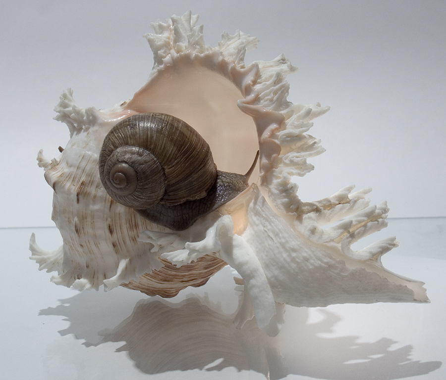 Живут же люди!