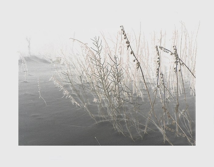 хочацца так цяплыні...