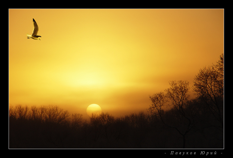 Навстречу утренней заре