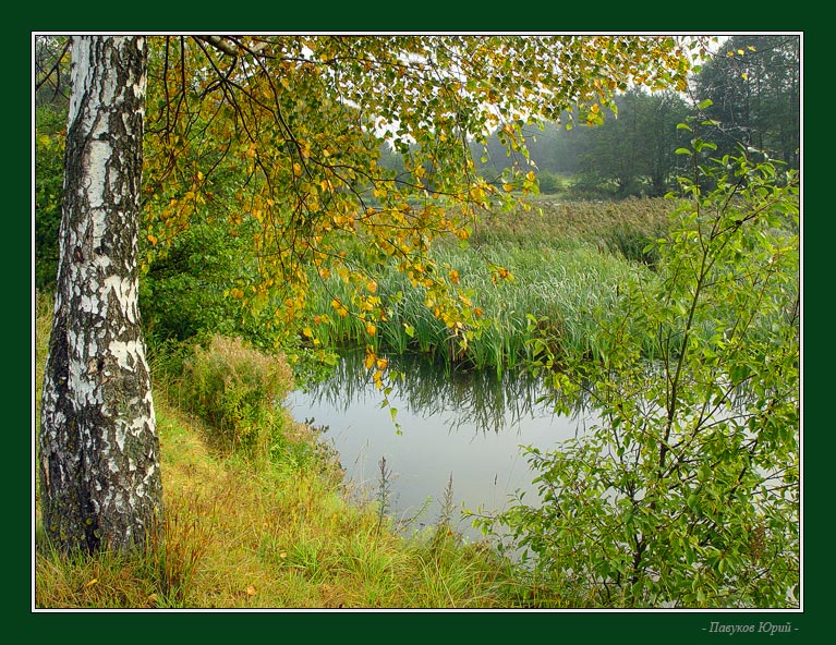 Старый пруд