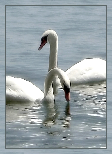 аб парушэньні сімэтрыі