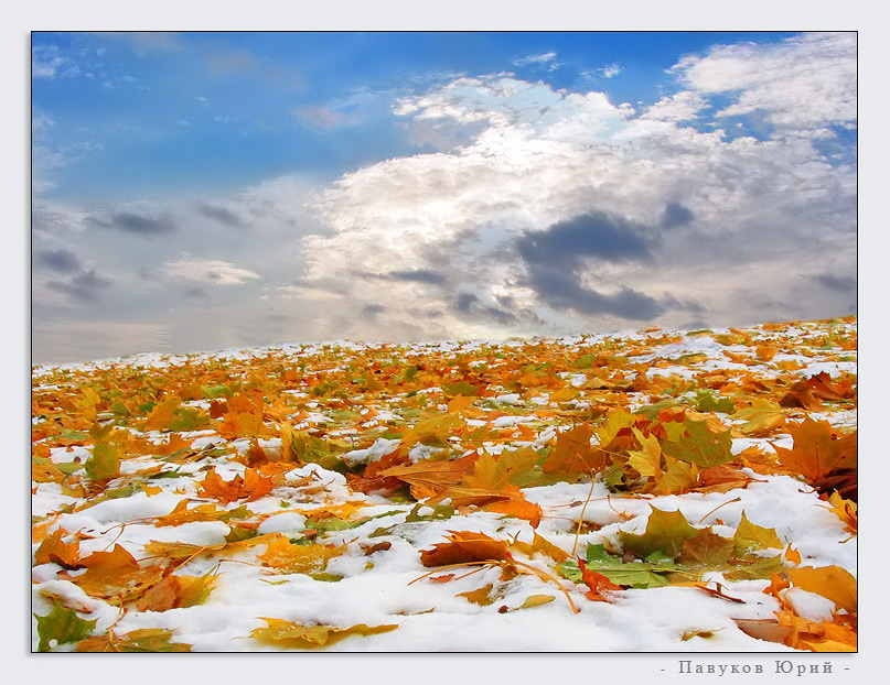 Удивительные парадоксы природы