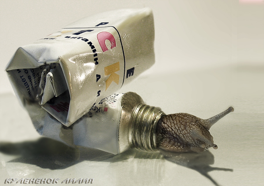 Чем не крем?