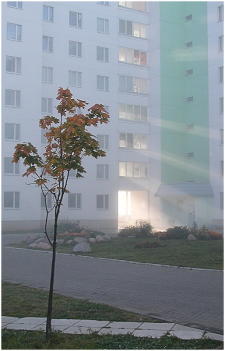 Туман солнца...