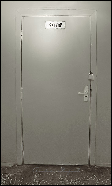 моечная для яиц