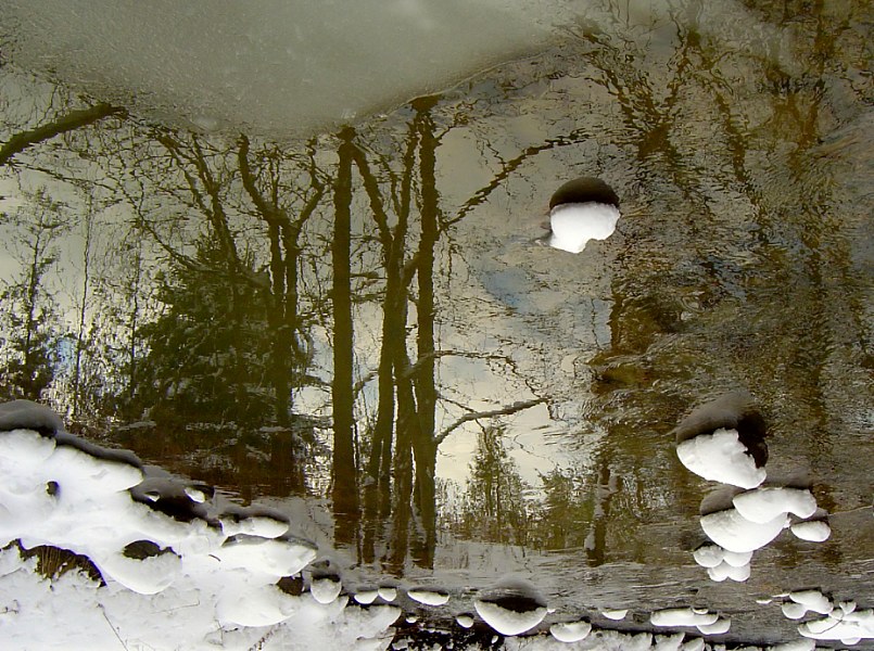 калі шаманы абкурываюцца мухаморамі... :)