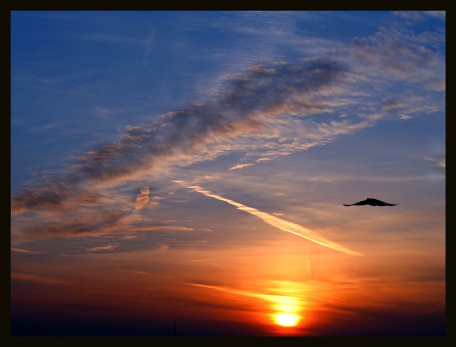 Летящая вдаль...