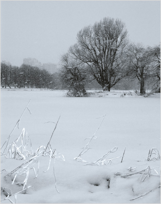 Снегопад #2