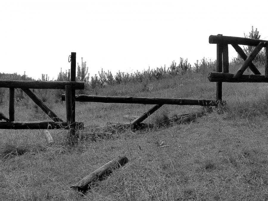 такая геометрия