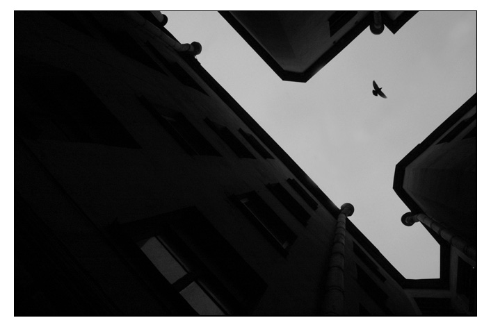 о настроении. в день рождения.