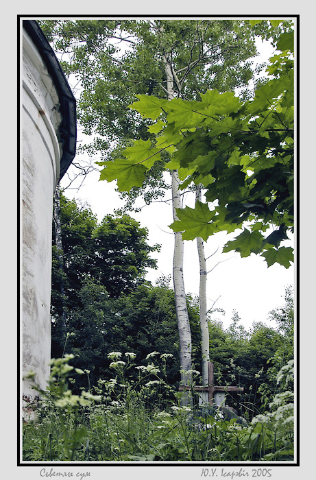 Сьветлы сум