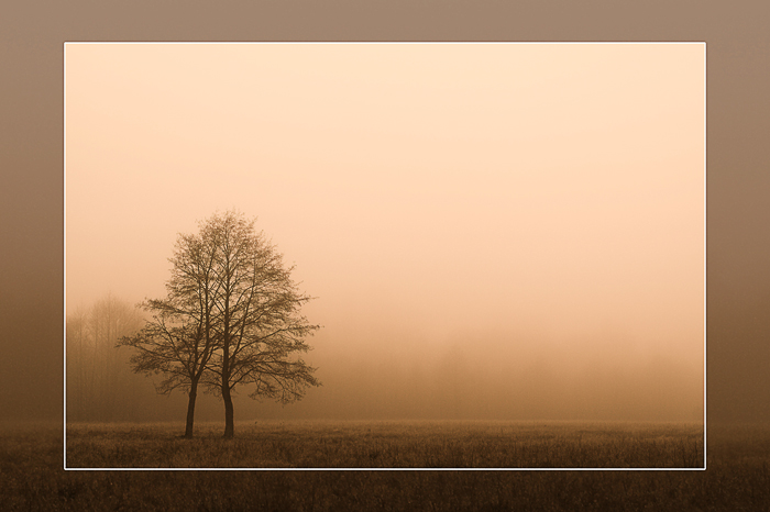 Всегда вдвоем...