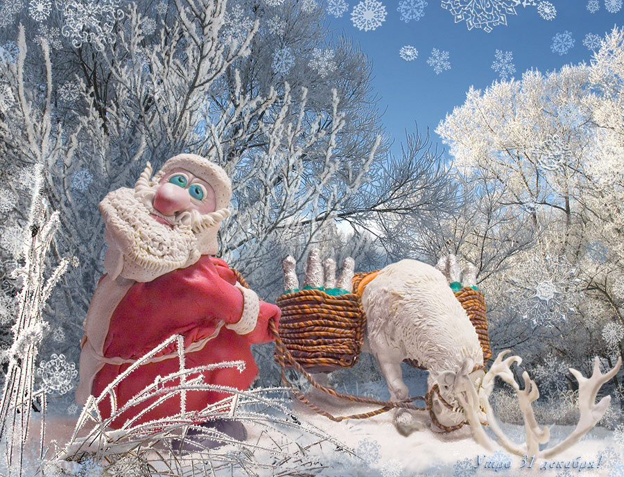 Утро 31 декабря!