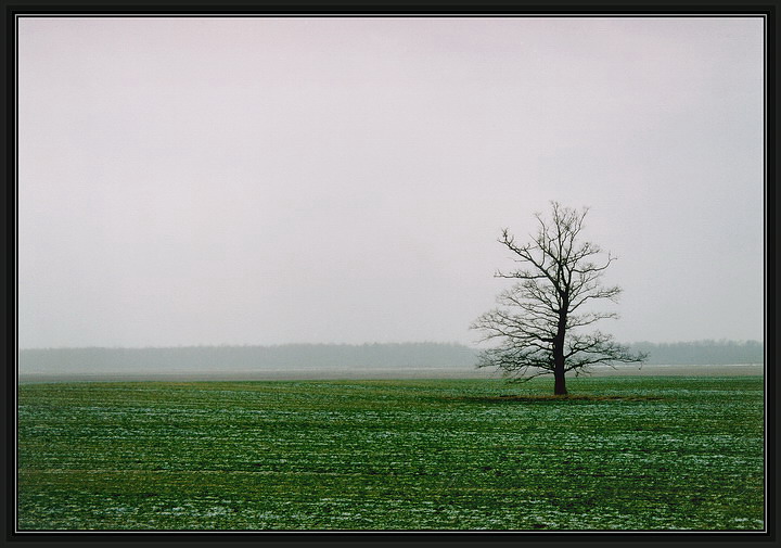 про зиму и одиночество
