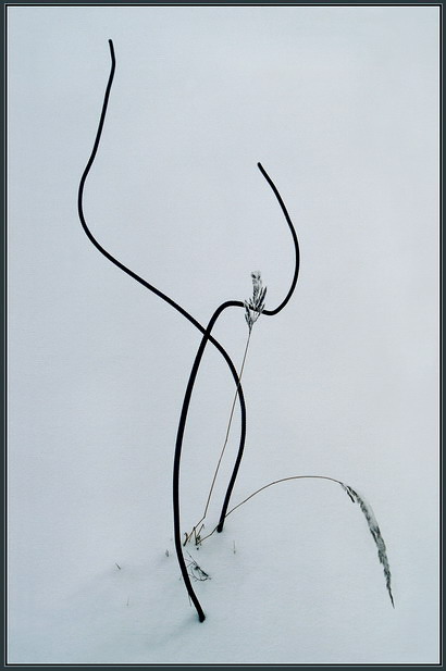 зимняя композиция №1