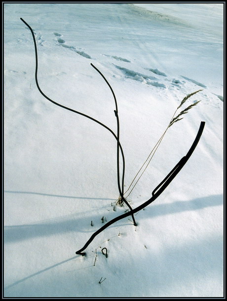 зимняя композиция №2