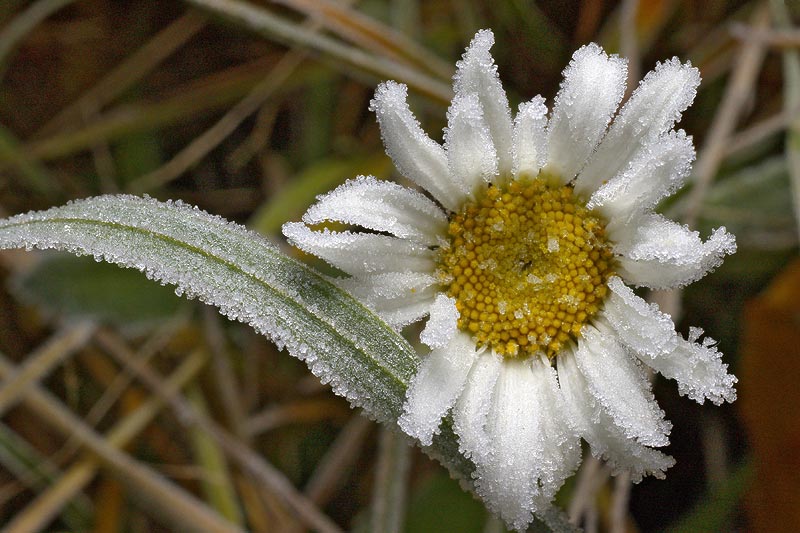 Замммерзаю!