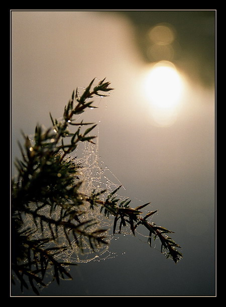 одним осенним утром