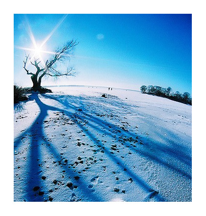 Земля... она круглая!