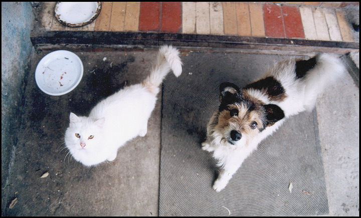 ты наши тарелки видел?